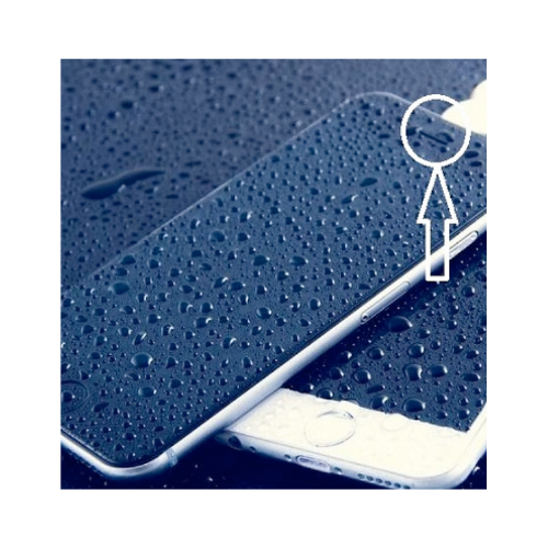 iPhone Water Damage