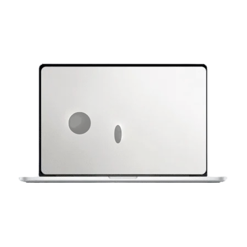 MacBook LCD Panel Black Spots